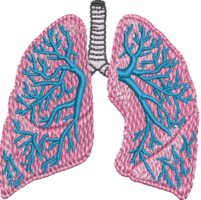 Anatomical – wtembroidery.com