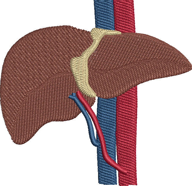 Maryland Liver