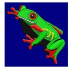 Tree Frog